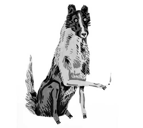 https://www.netsvetaev.com/files/gimgs/th-38_056.jpg
