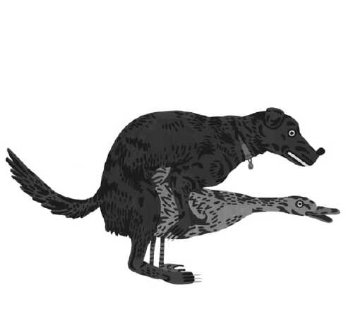 https://www.netsvetaev.com/files/gimgs/th-38_059.jpg