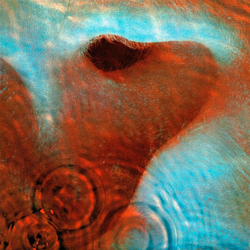https://www.netsvetaev.com/files/gimgs/th-39_26-pink-floyd-meddle.jpg