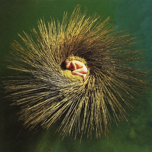 https://www.netsvetaev.com/files/gimgs/th-39_81SWP9VWyNL_SL1065_.jpg